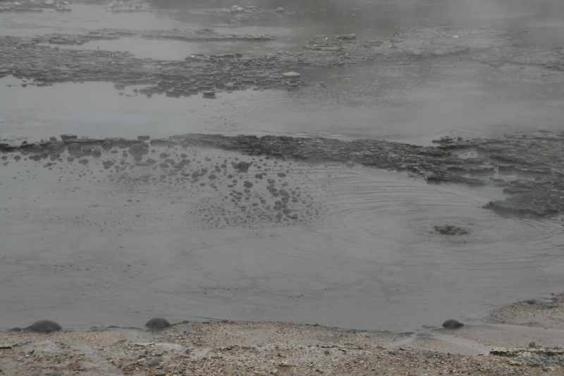 Nieuw-Zeeland 2011 - 0604